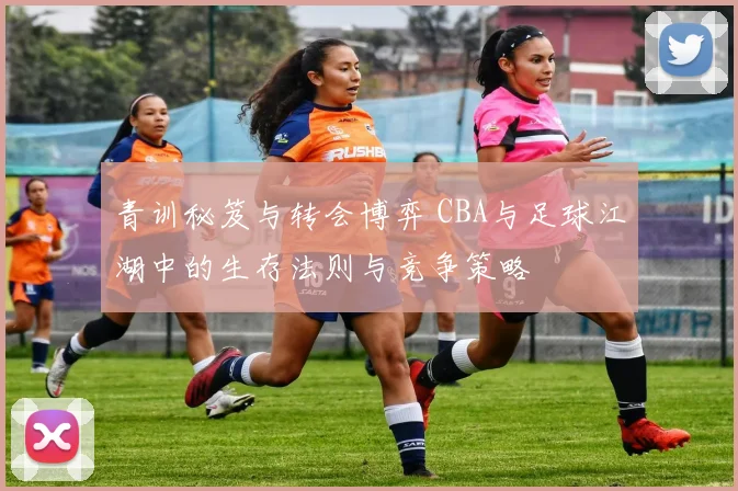 青训秘笈与转会博弈 CBA与足球江湖中的生存法则与竞争策略