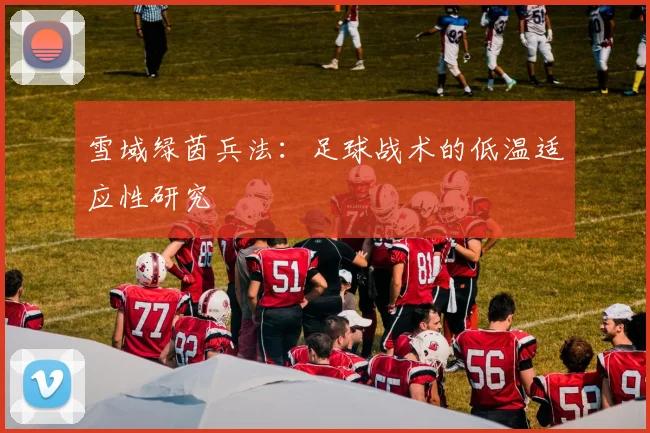 雪域绿茵兵法：足球战术的低温适应性研究