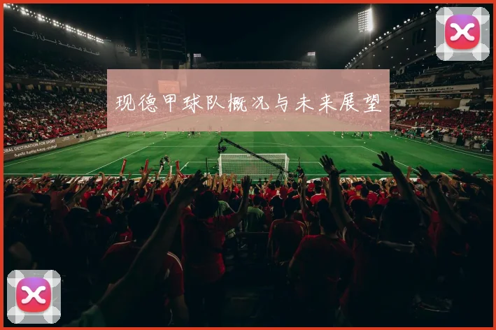 现德甲球队概况与未来展望