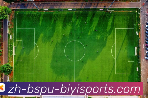 数据防护可视化